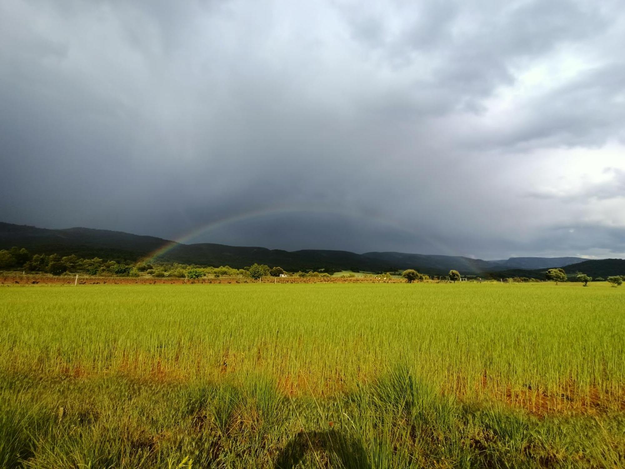 Alojamiento Rural El Cerro Fresneda de la Sierra エクステリア 写真