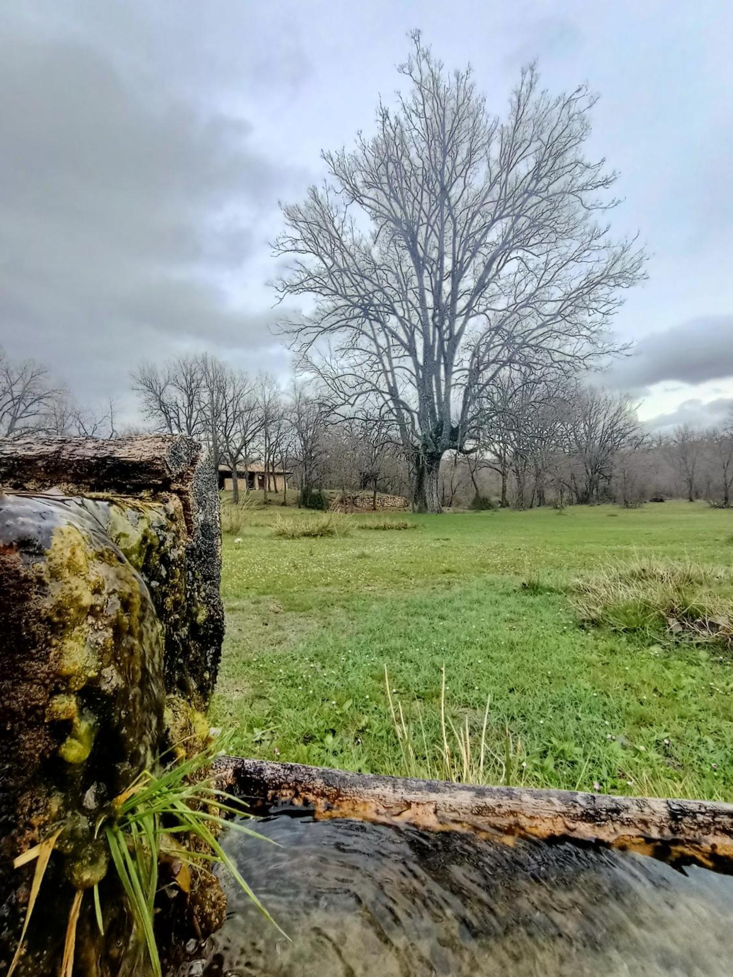 Alojamiento Rural El Cerro Fresneda de la Sierra エクステリア 写真