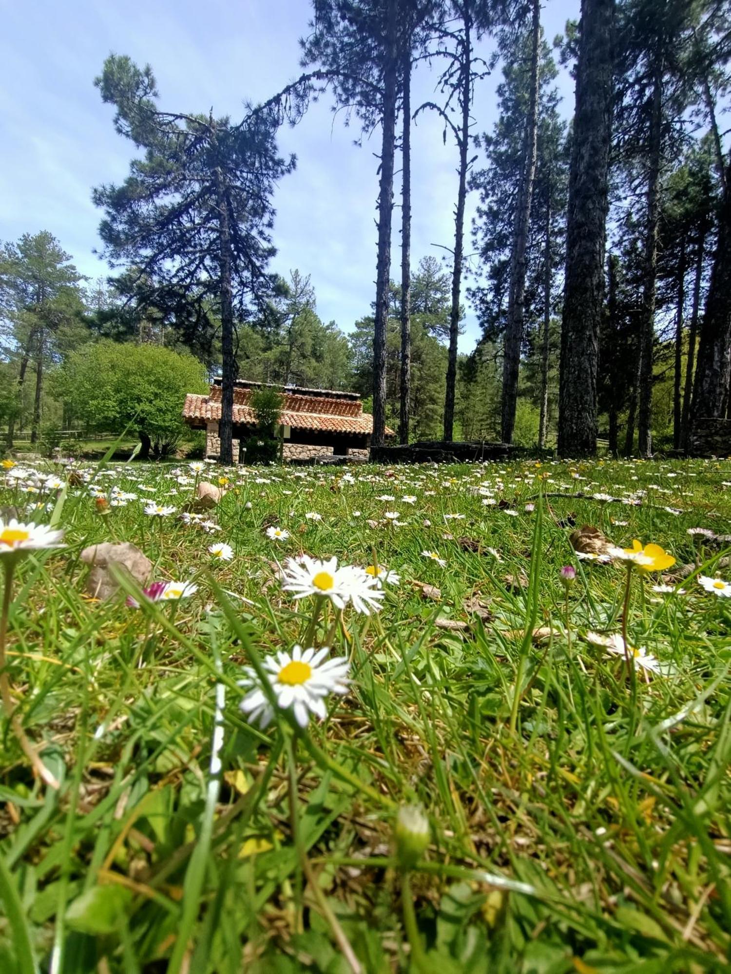 Alojamiento Rural El Cerro Fresneda de la Sierra エクステリア 写真